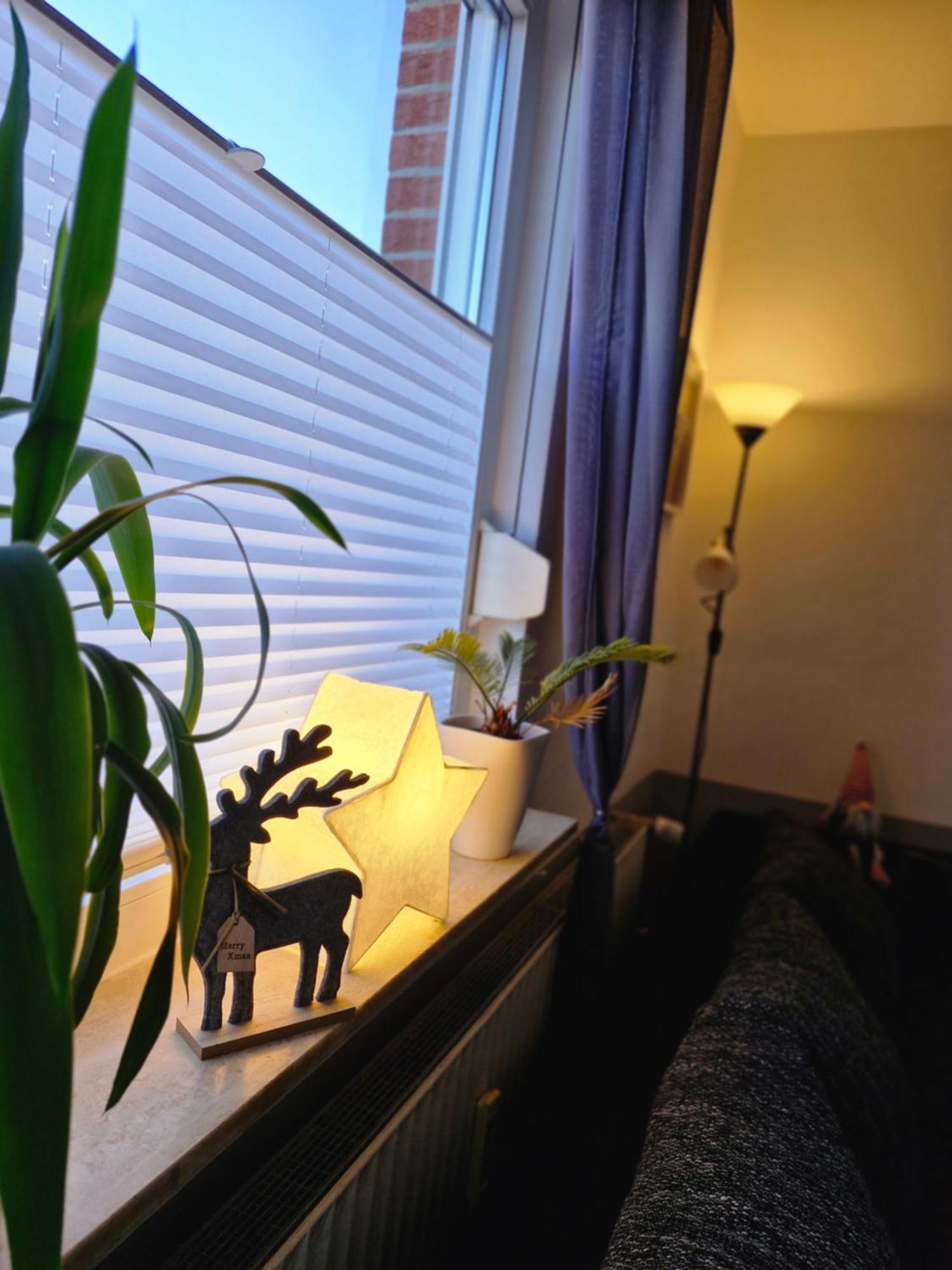 Apartment Mit Garten Bad Lauterberg Dış mekan fotoğraf